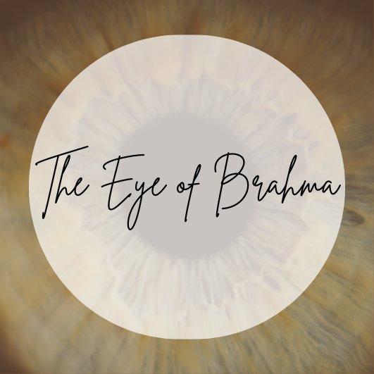 The Eye of Brahma | Hanging Diffuser | 4ml